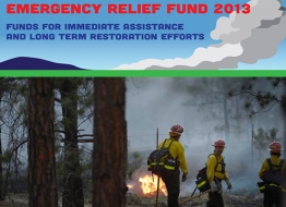 PPCF Emergency Relief Fund